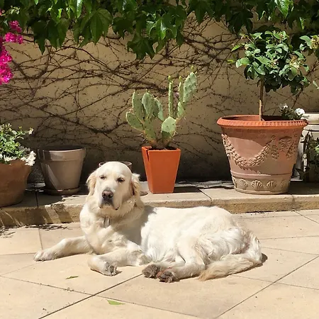 B&B Villa De Margot-2